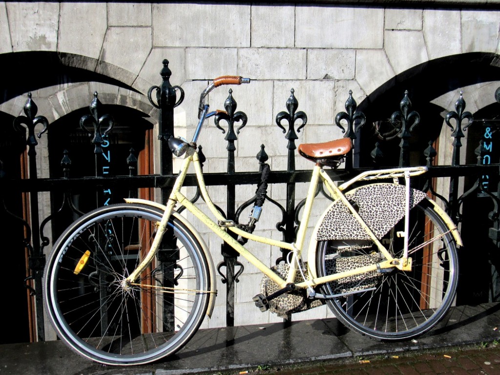 vélo léopard à amsterdam