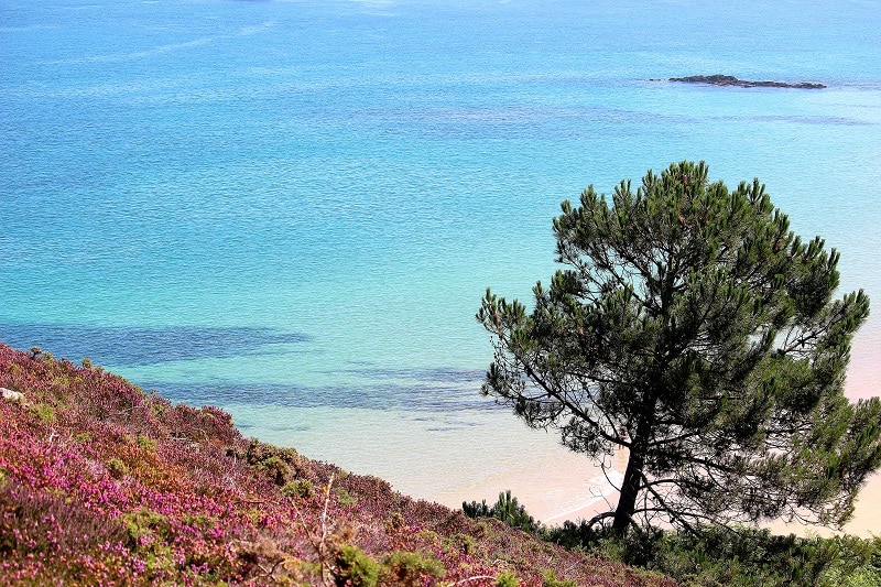 eau turquoise idyllique à erquy en Bretagne. 
