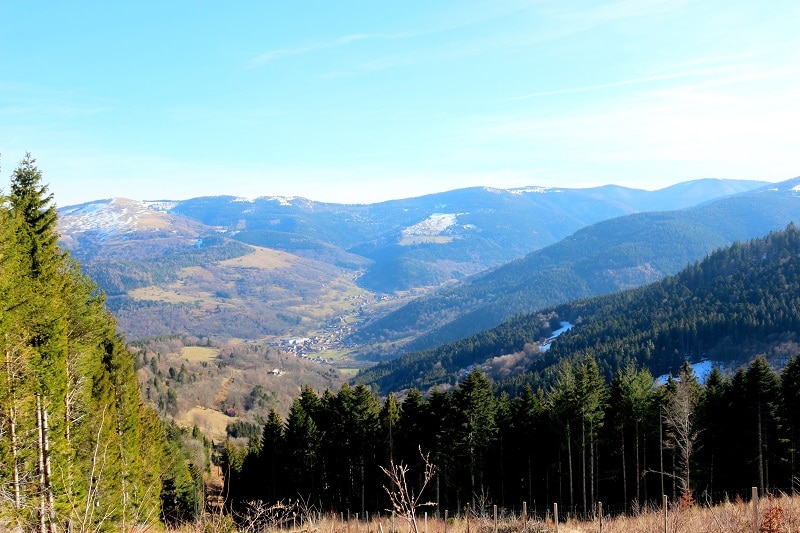 Partez faire de magnifiques randonnées dans les Vosges. Idéal pour un été en pleine nature. 